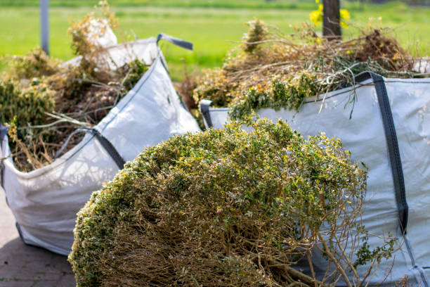 Best Commercial Cleanout Services  in East Hemet, CA