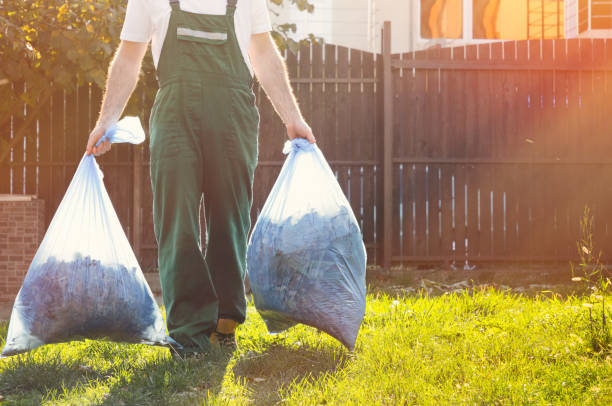 Best Yard Cleanup Services  in East Hemet, CA