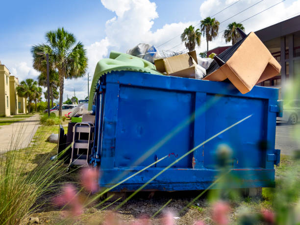 Yard Cleanup Services in East Hemet, CA